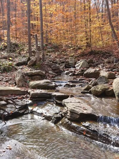 Old Loggers Path - Canton, PA