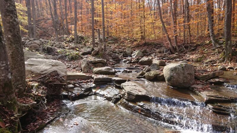 Old Loggers Path - Canton, PA