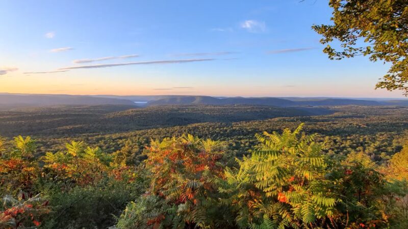 Old Loggers Path - Canton, PA