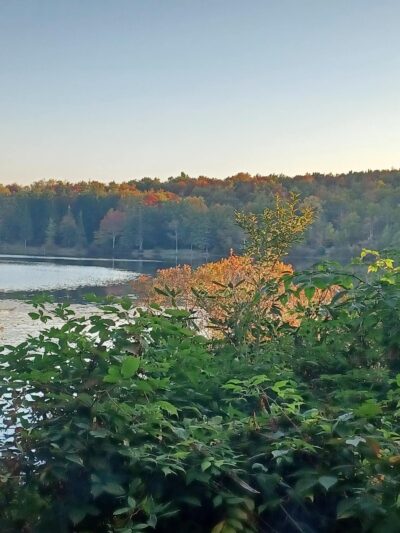 Sunfish Pond County Park - Canton, PA
