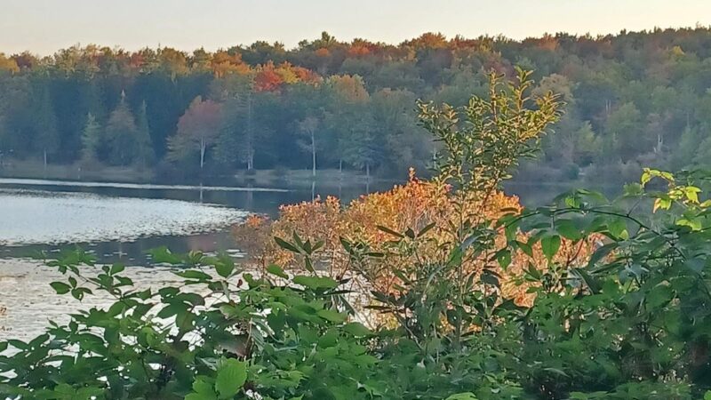 Sunfish Pond County Park - Canton, PA