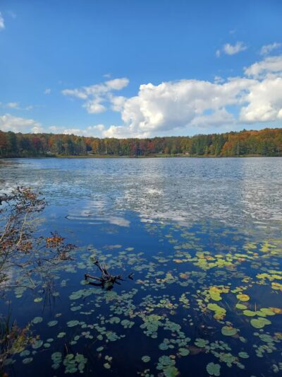 Sunfish Pond County Park - Canton, PA