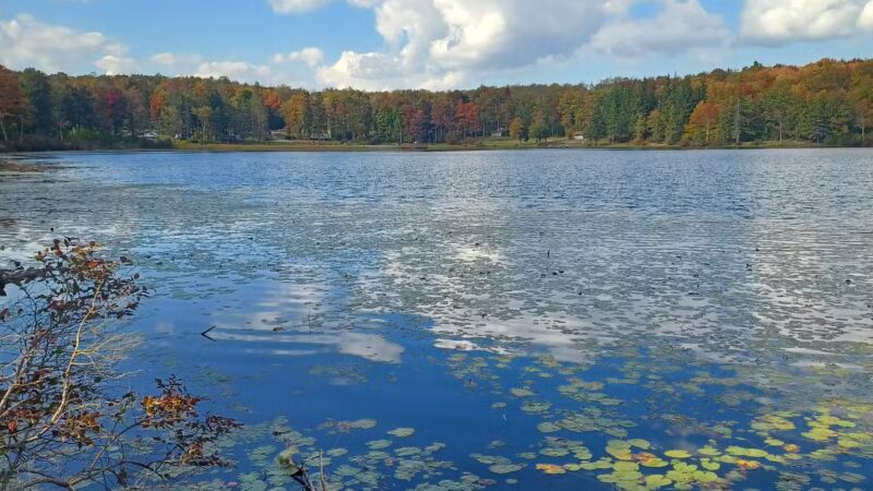 Sunfish Pond County Park - Canton, PA