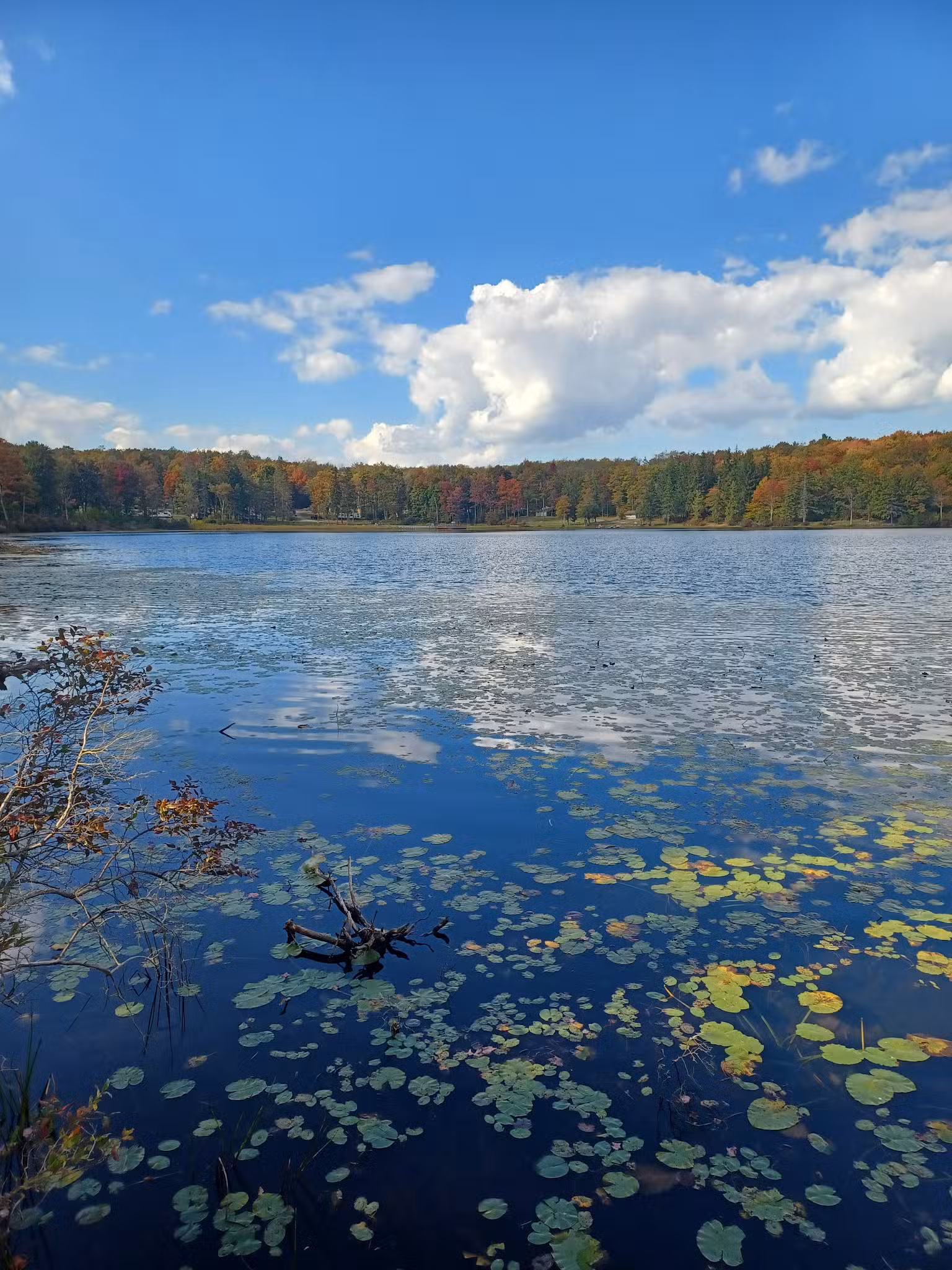 Sunfish Pond County Park - Canton, PA