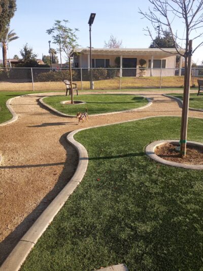 Gated community Dog Park - Canyon Lake, CA