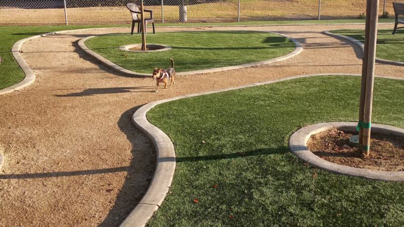 Gated community Dog Park - Canyon Lake, CA