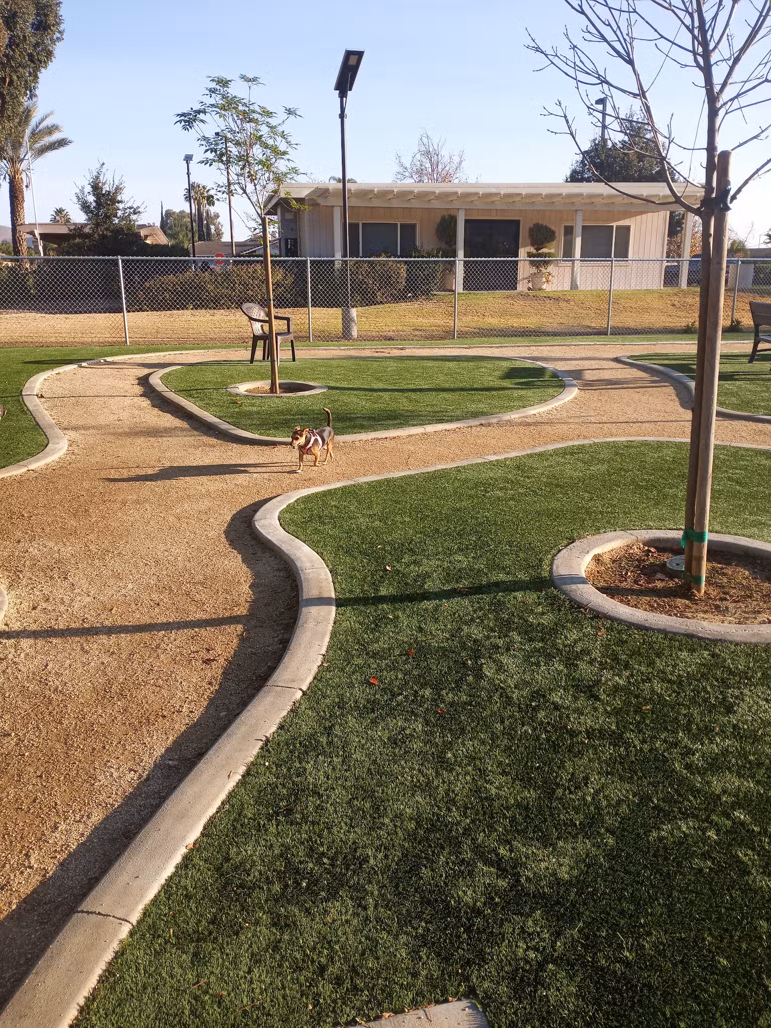 Gated community Dog Park - Canyon Lake, CA