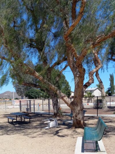 Gated community Dog Park - Canyon Lake, CA
