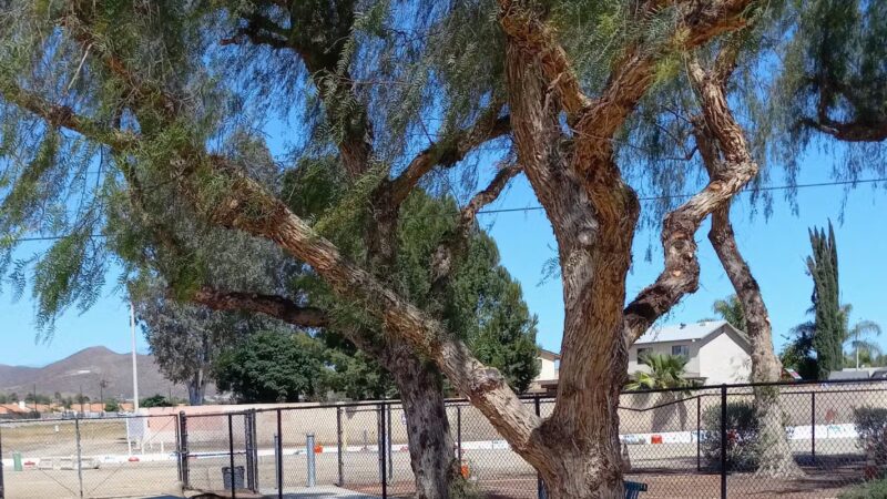 Gated community Dog Park - Canyon Lake, CA