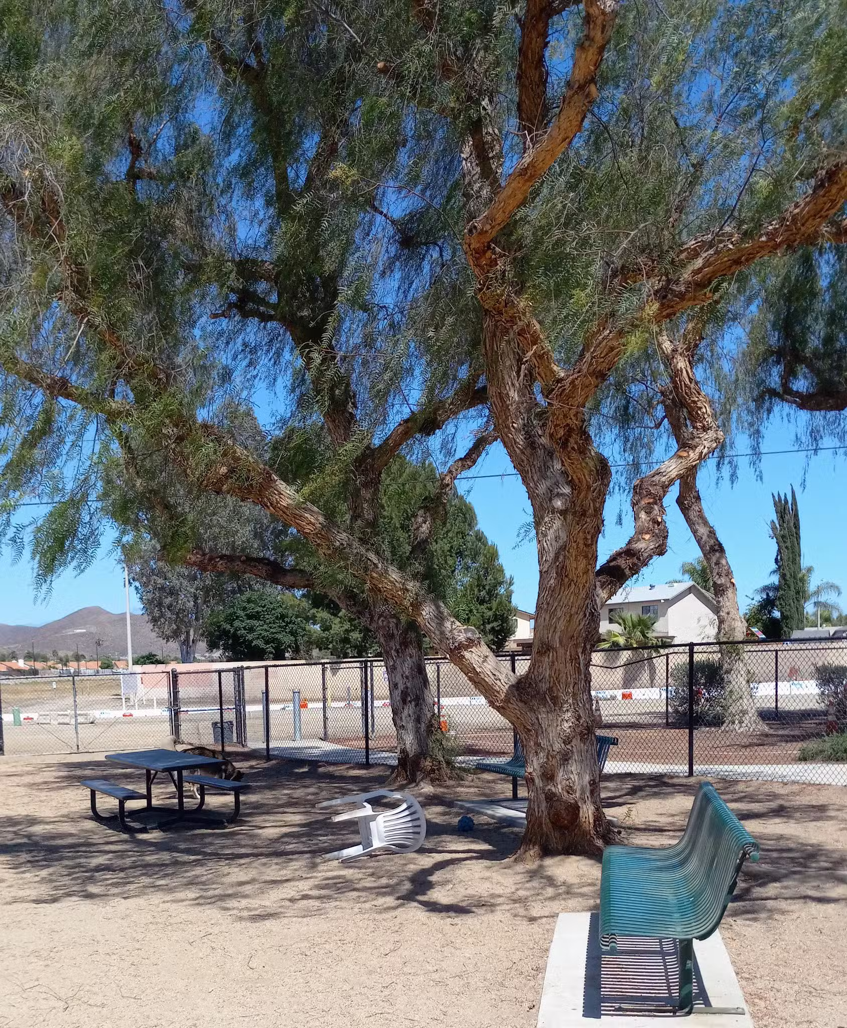 Gated community Dog Park - Canyon Lake, CA