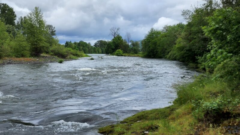 Pickett Park - Canyonville, OR