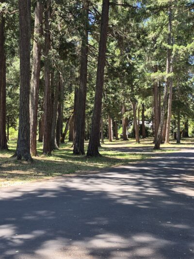 Pickett Park - Canyonville, OR
