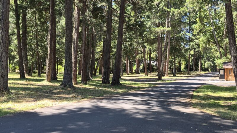 Pickett Park - Canyonville, OR