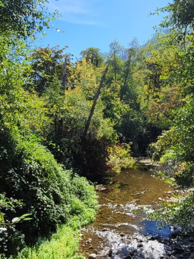 Pioneer Park - Canyonville, OR