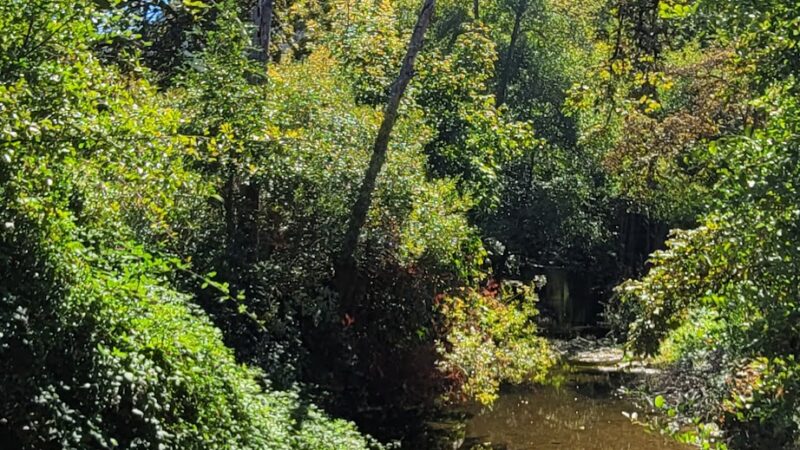 Pioneer Park - Canyonville, OR