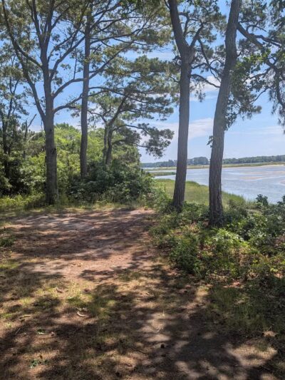 Cape Charles Natural Area Preserve - Cape Charles, VA