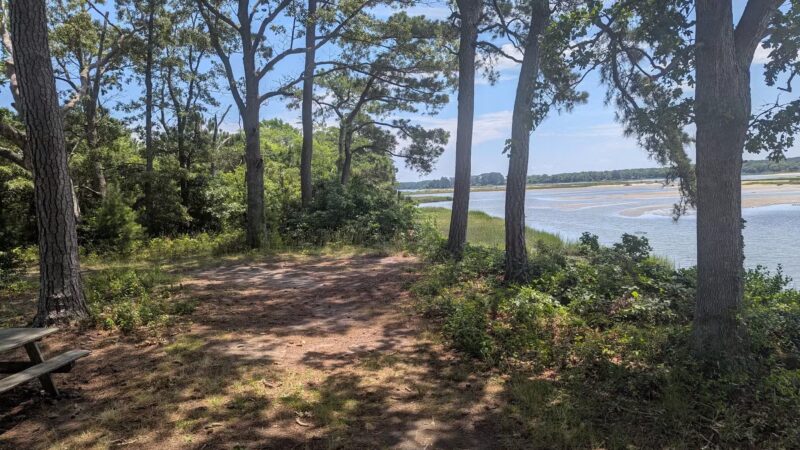 Cape Charles Natural Area Preserve - Cape Charles, VA
