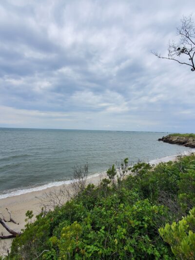 Cape Charles Natural Area Preserve - Cape Charles, VA