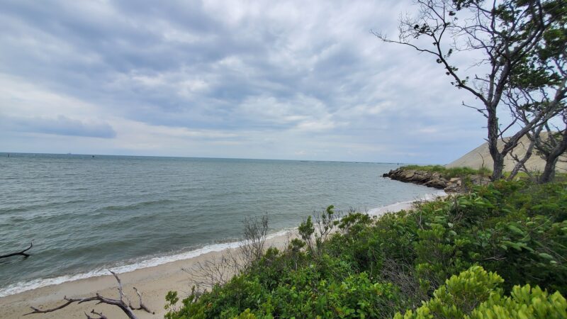 Cape Charles Natural Area Preserve - Cape Charles, VA
