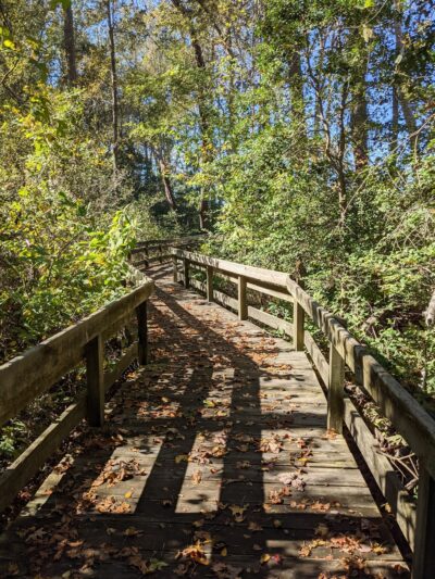 Cape Charles Natural Area Preserve - Cape Charles, VA