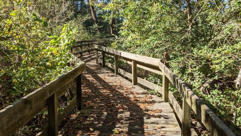 Cape Charles Natural Area Preserve - Cape Charles, VA