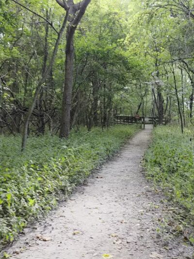Cape Charles Natural Area Preserve - Cape Charles, VA
