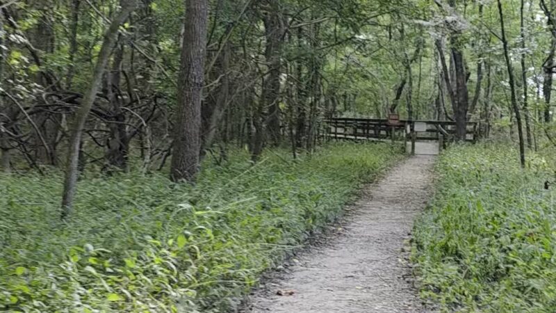 Cape Charles Natural Area Preserve - Cape Charles, VA