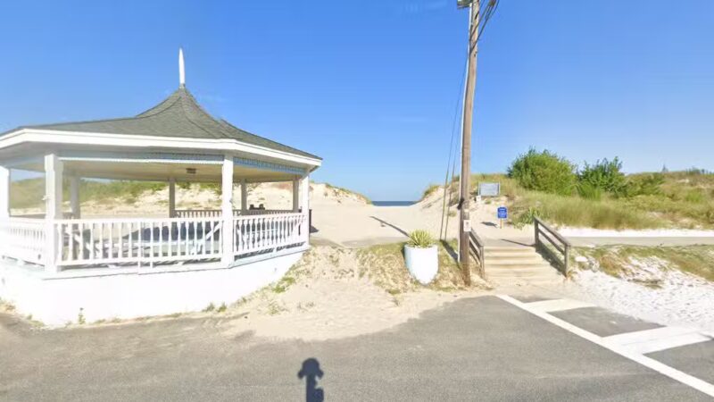 Dogs by the Bay,LLC - Cape Charles, VA