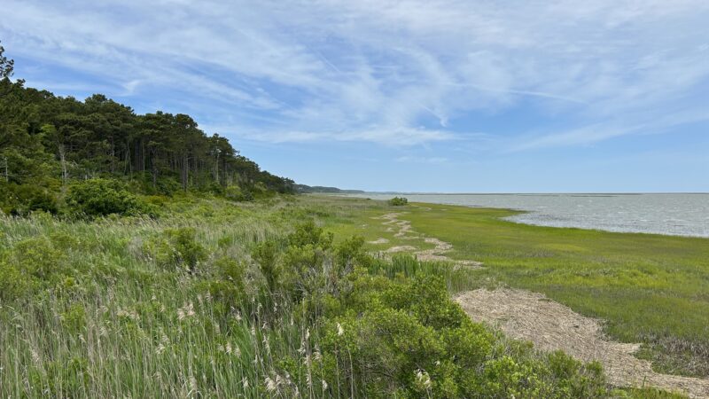 Edward S. Brinkley Nature Preserve - Cape Charles, VA