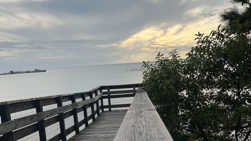 Kiptopeke Breakwater aka Concrete Ships - Cape Charles, VA