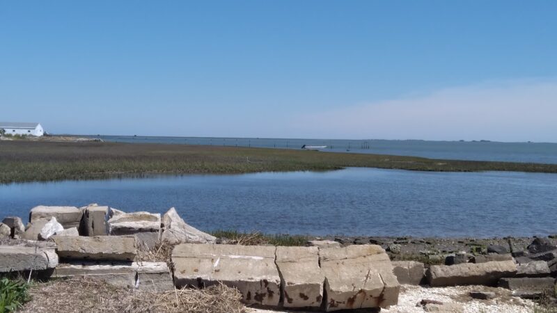 Kiptopeke State Park - Cape Charles, VA