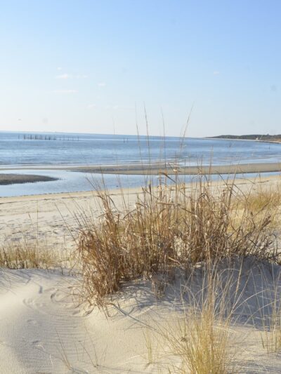 Kiptopeke State Park - Cape Charles, VA