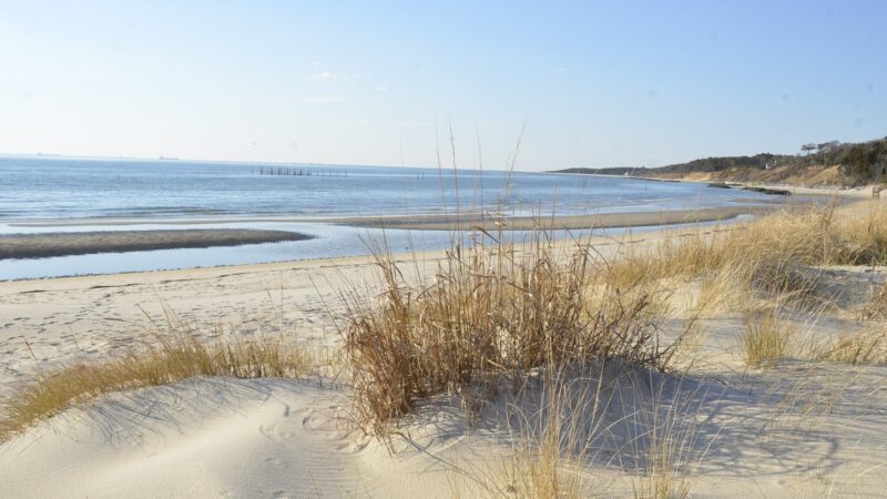 Kiptopeke State Park - Cape Charles, VA