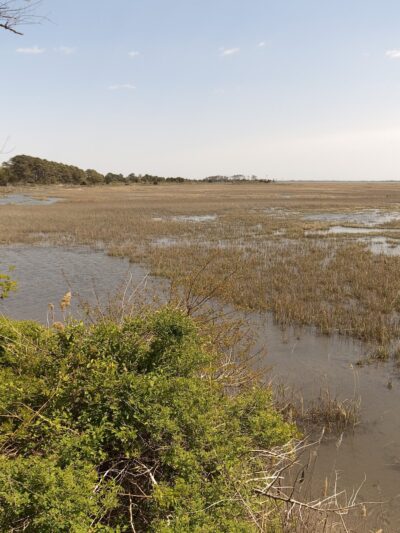 Magothy Bay State Natural Area Preserve - Cape Charles, VA