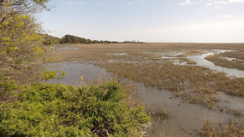Magothy Bay State Natural Area Preserve - Cape Charles, VA