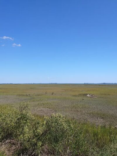 Magothy Bay State Natural Area Preserve - Cape Charles, VA