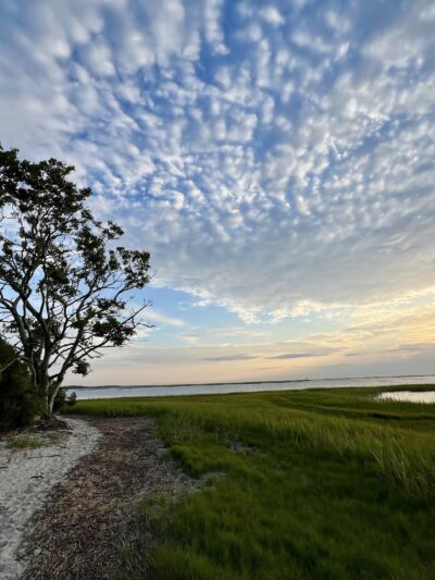 Oyster Village Horse Island Trail - Cape Charles, VA