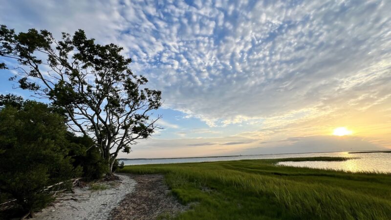 Oyster Village Horse Island Trail - Cape Charles, VA