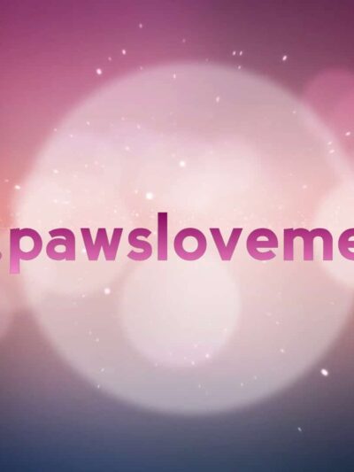 Paws Love Me - Cape Charles, VA