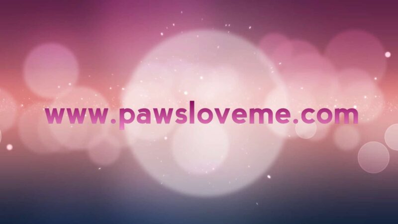 Paws Love Me - Cape Charles, VA