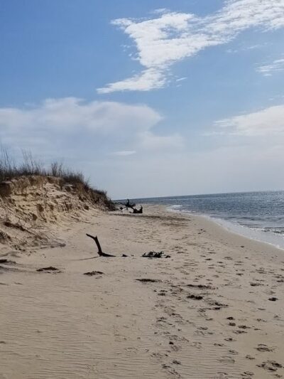 Savage Neck Dunes Natural Area Preserve - Cape Charles, VA