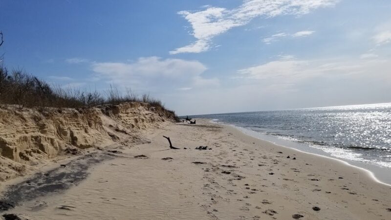 Savage Neck Dunes Natural Area Preserve - Cape Charles, VA