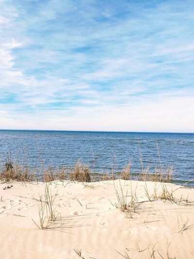 Savage Neck Dunes Natural Area Preserve - Cape Charles, VA