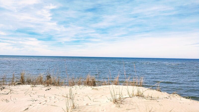 Savage Neck Dunes Natural Area Preserve - Cape Charles, VA