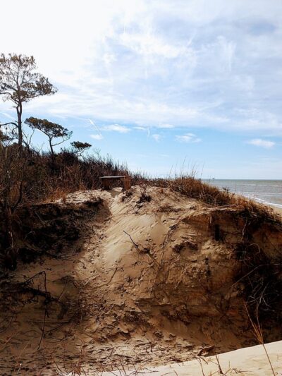 Savage Neck Dunes Natural Area Preserve - Cape Charles, VA