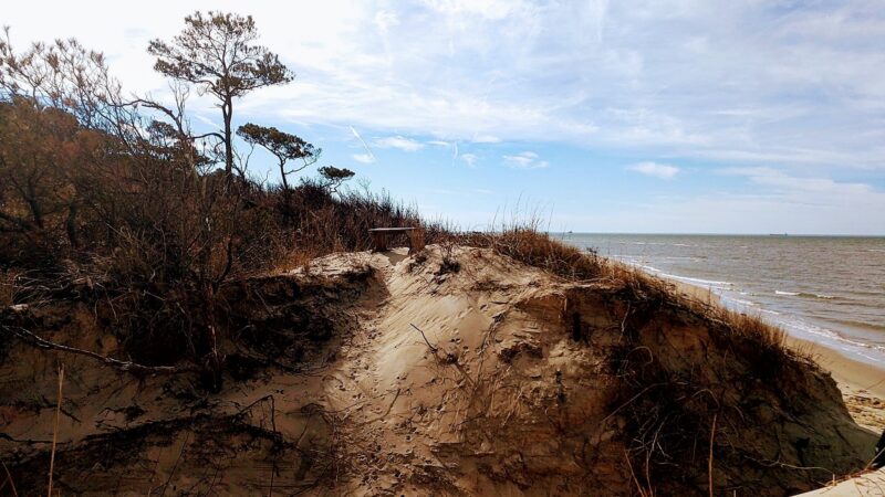 Savage Neck Dunes Natural Area Preserve - Cape Charles, VA