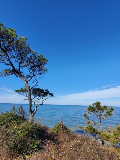 Savage Neck Dunes State Natural Area Preserve Parking Lot - Cape Charles, VA