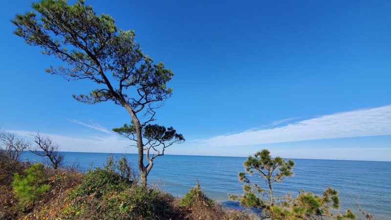 Savage Neck Dunes State Natural Area Preserve Parking Lot - Cape Charles, VA