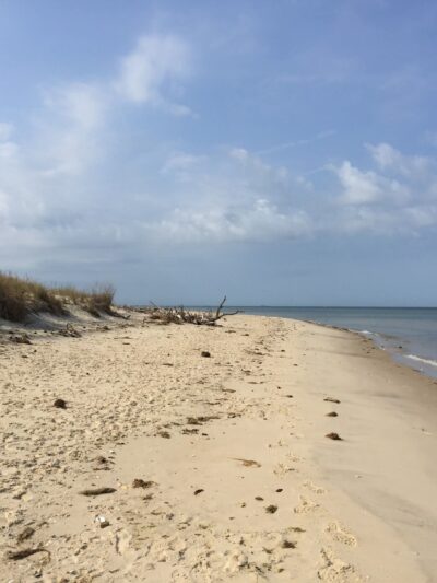 Savage Neck Dunes State Natural Area Preserve Parking Lot - Cape Charles, VA