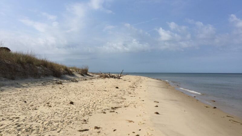 Savage Neck Dunes State Natural Area Preserve Parking Lot - Cape Charles, VA
